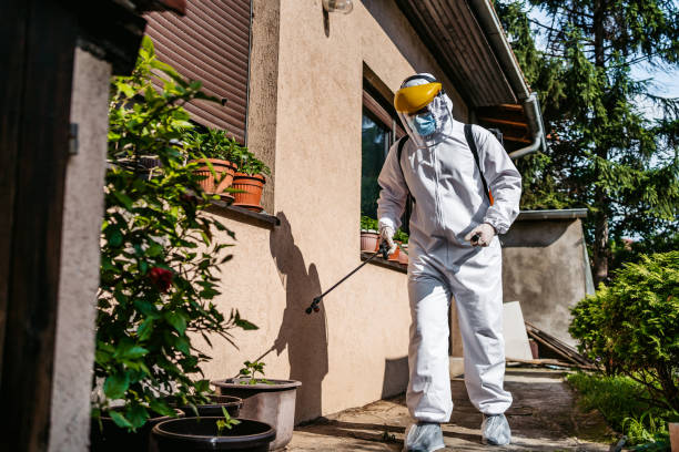 Wasp Removal Services in Middleburg, PA