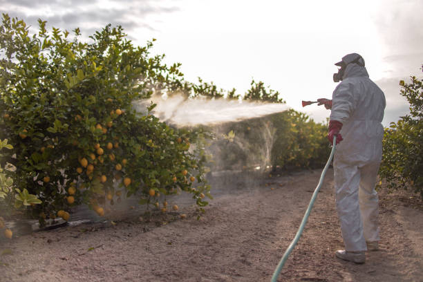 Best Exterminator Services  in Middleburg, PA