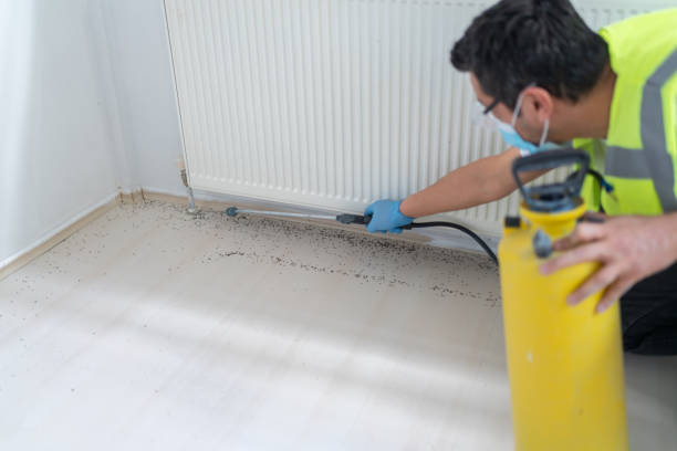 Best Pest Control for Businesses  in Middleburg, PA